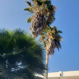https://sea-shell-palms.comcaribbean.com