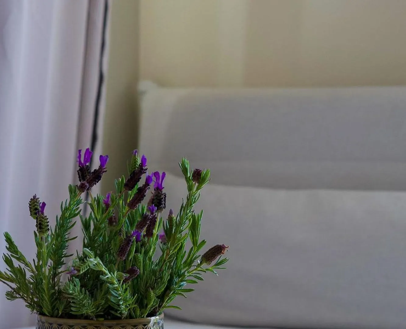 Bed and breakfast Arrifana Destination Suites Aljezur